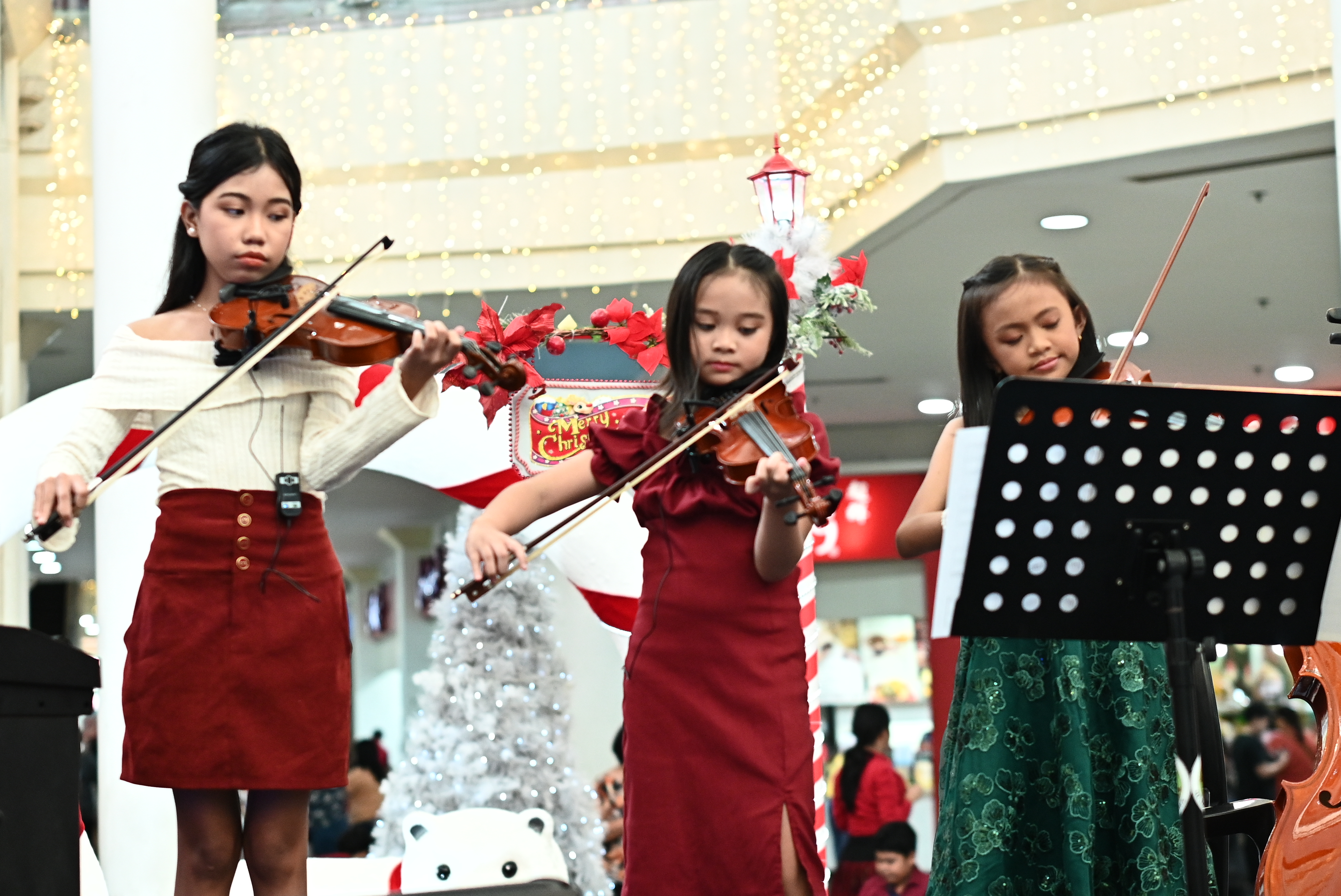 Violin Lesson 2